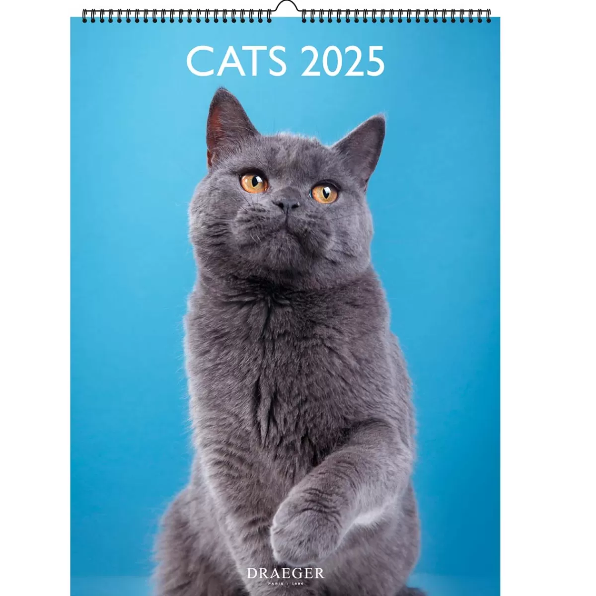 Store Draeger Paris Calendrier Mural 2025 Décoration 29x39 cm - Chats