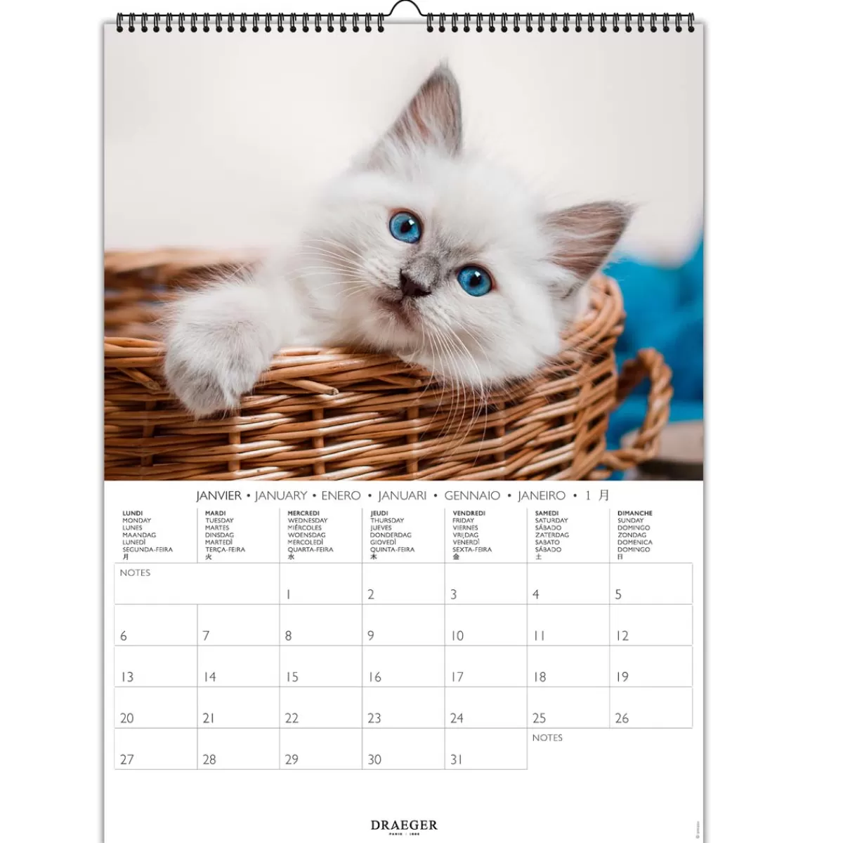 Store Draeger Paris Calendrier Mural 2025 Décoration 29x39 cm - Chats