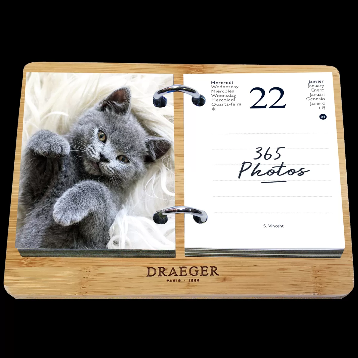 Cheap Draeger Paris Coffret éphéméride Agenda Yvon 2025 - Edition Chat