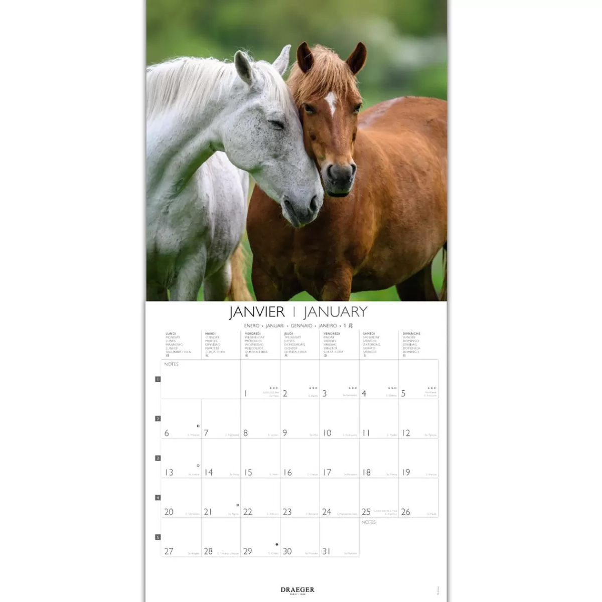 Cheap Draeger Paris Grand Calendrier Mural 29x29 cm 2025 - Chevaux