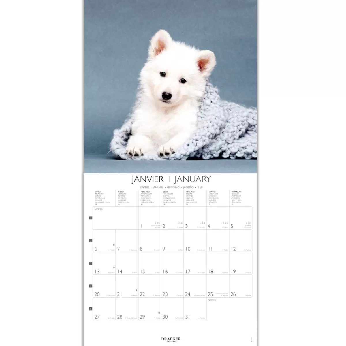 Fashion Draeger Paris Grand Calendrier Mural 29x29 cm 2025 - Chiens