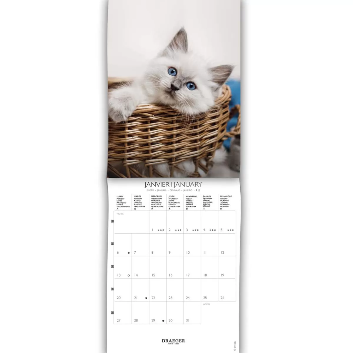 Sale Draeger Paris Petit Calendrier Mensuel 2025 14x18 cm - Chats