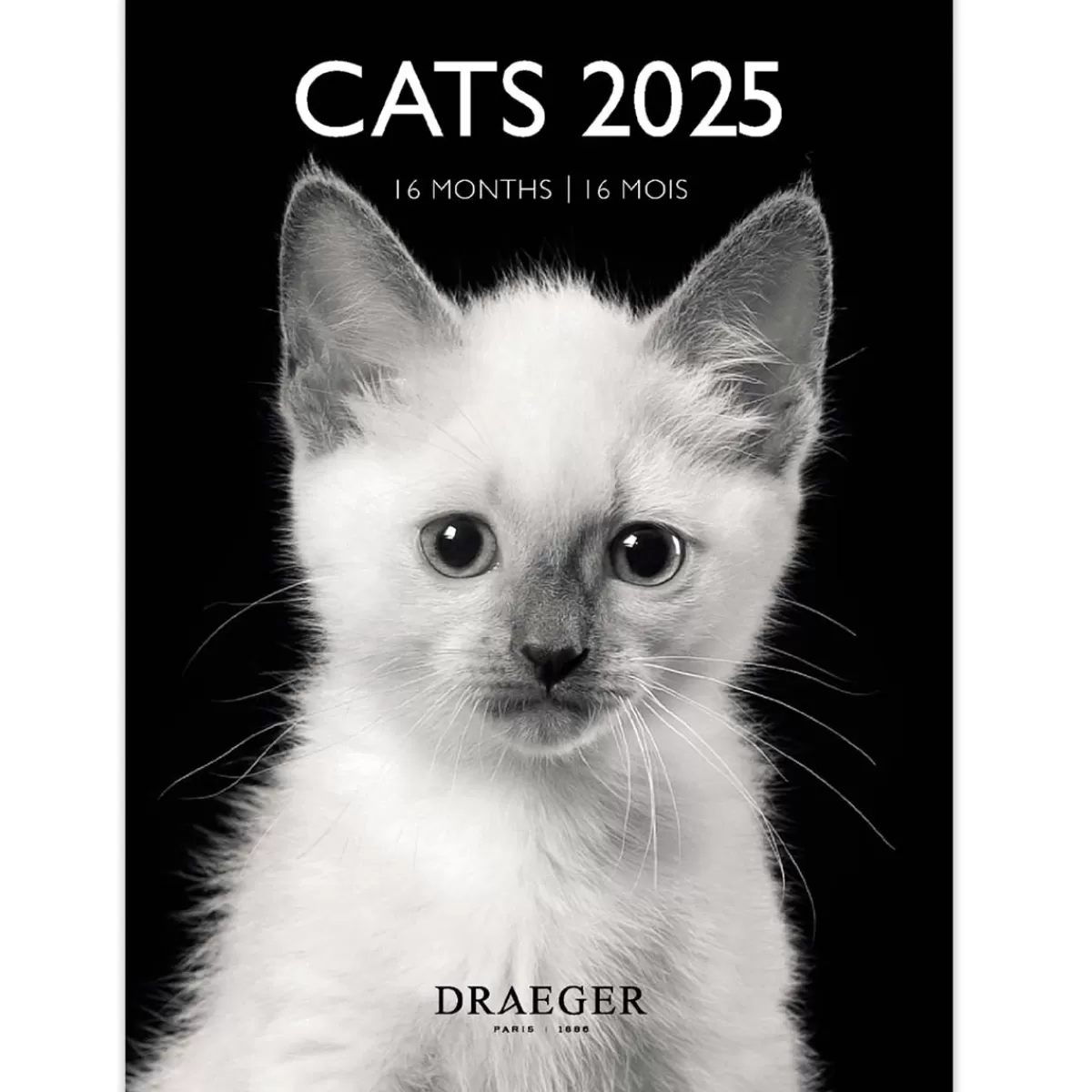 Fashion Draeger Paris Petit Calendrier Mensuel 2025 14x18 cm - Chats Noir & blanc