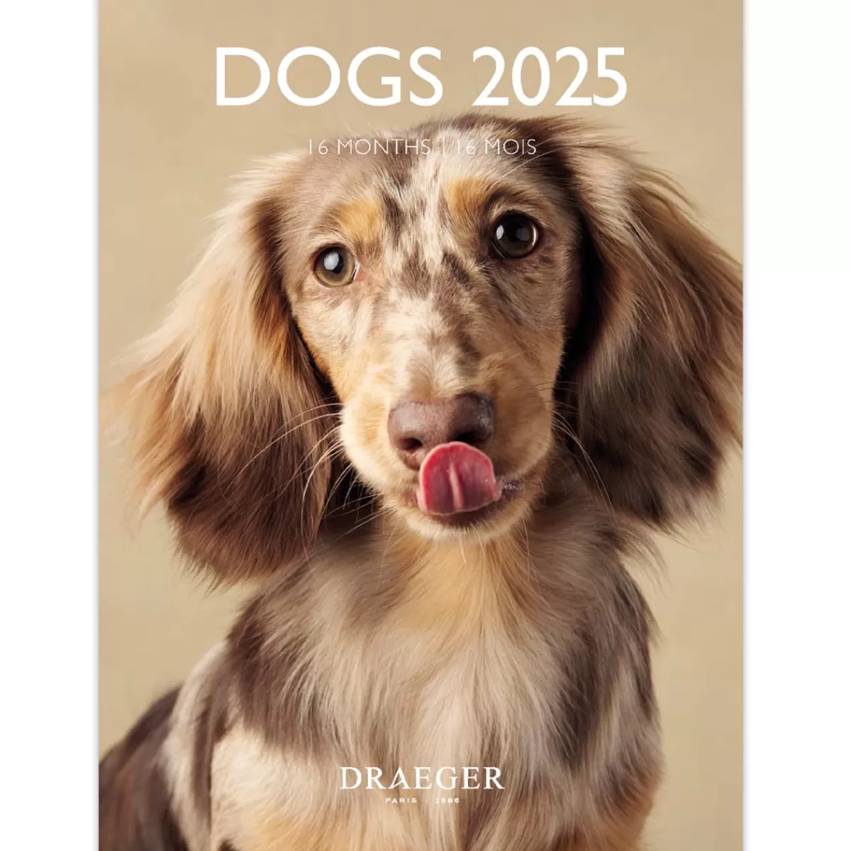 Clearance Draeger Paris Petit Calendrier Mensuel 2025 14x18 cm - Chiens