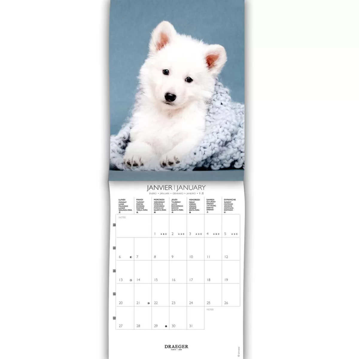 Clearance Draeger Paris Petit Calendrier Mensuel 2025 14x18 cm - Chiens